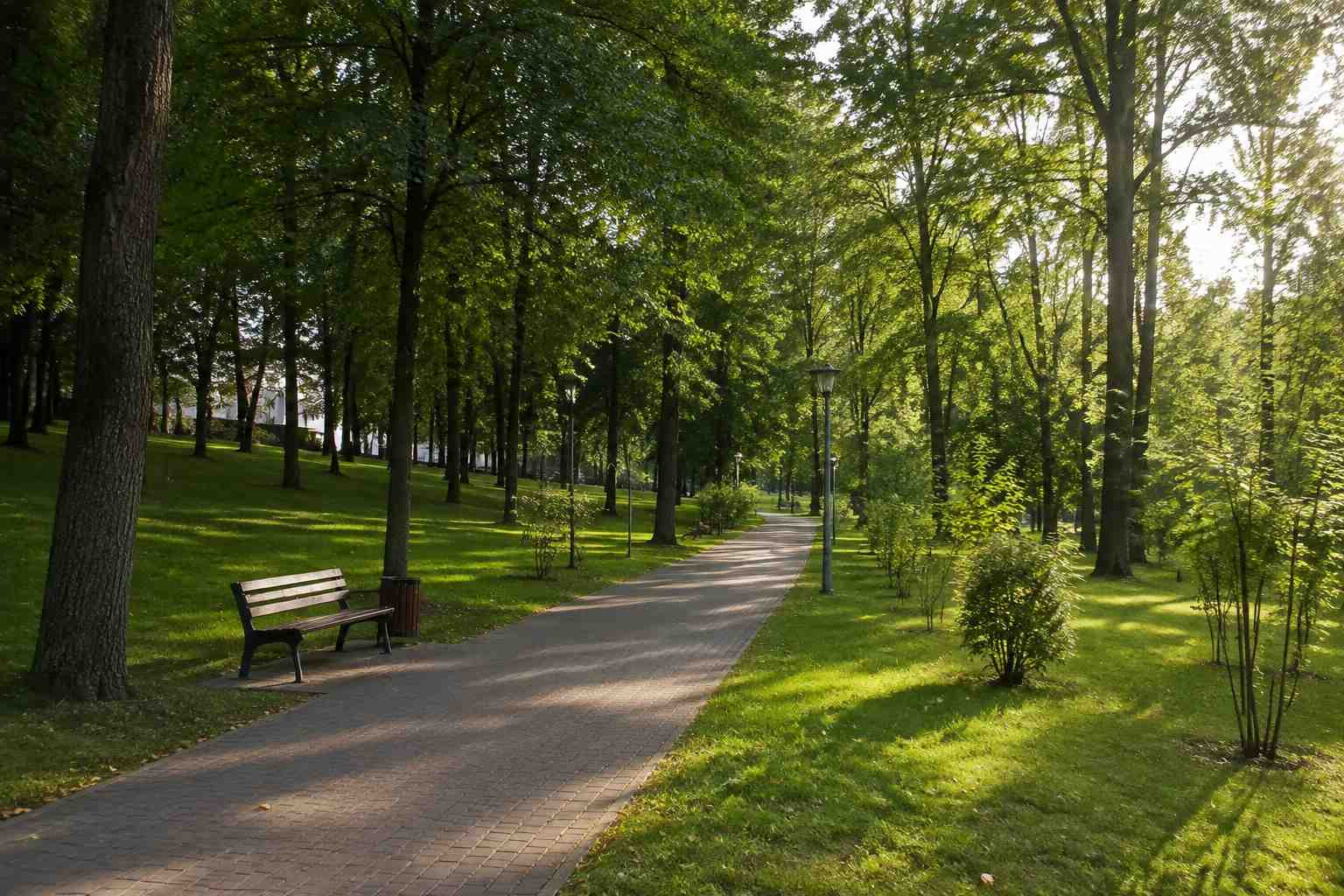 https://pyatigorsk.blago-s.ru/storage/app/uploads/public/6a7/eef/ed2/6a7eefed2af22038960370.jpg